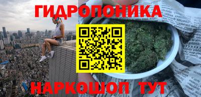 a pvp Кунгур