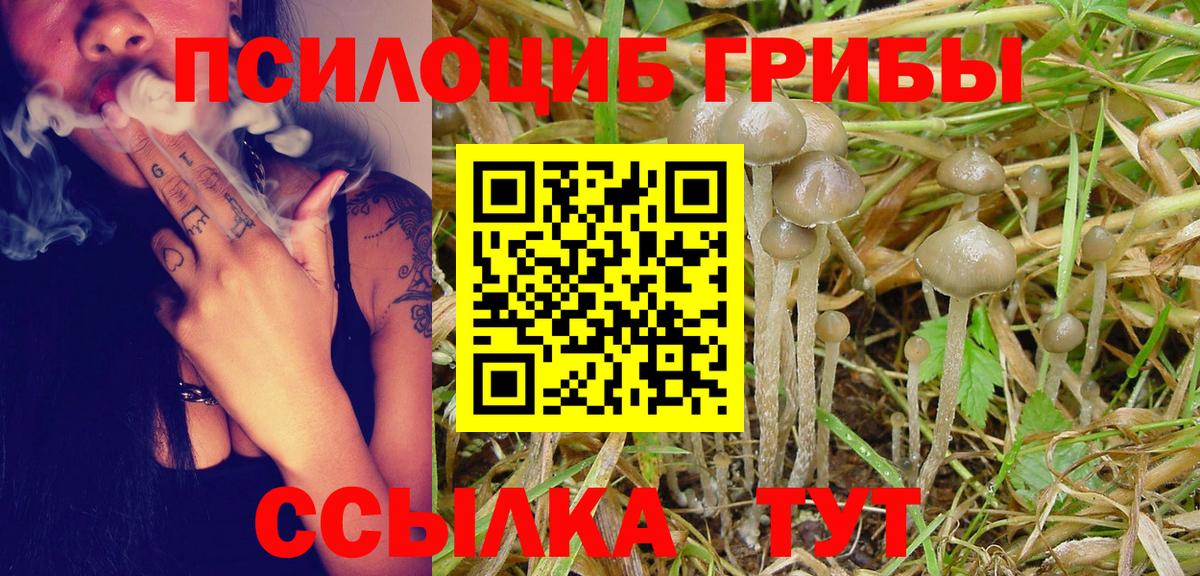 как найти   Вход с VPN  Саяногорск  Псилоцибиновые грибы Cubensis 