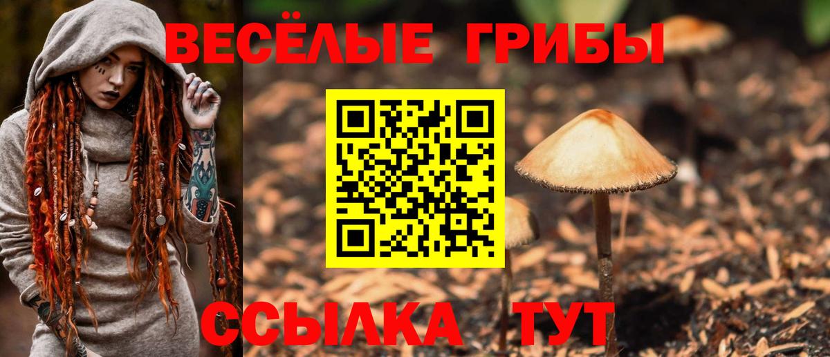 Псилоцибиновые грибы ЛСД Саяногорск